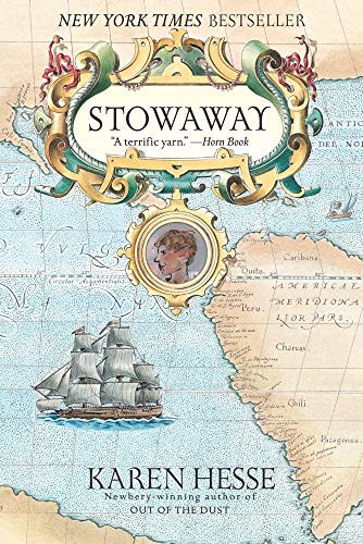 Algopix Similar Product 4 - Stowaway