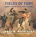 Algopix Similar Product 19 - Fields of Fury: The American Civil War