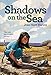 Algopix Similar Product 4 - Shadows on the Sea Aladdin Historical