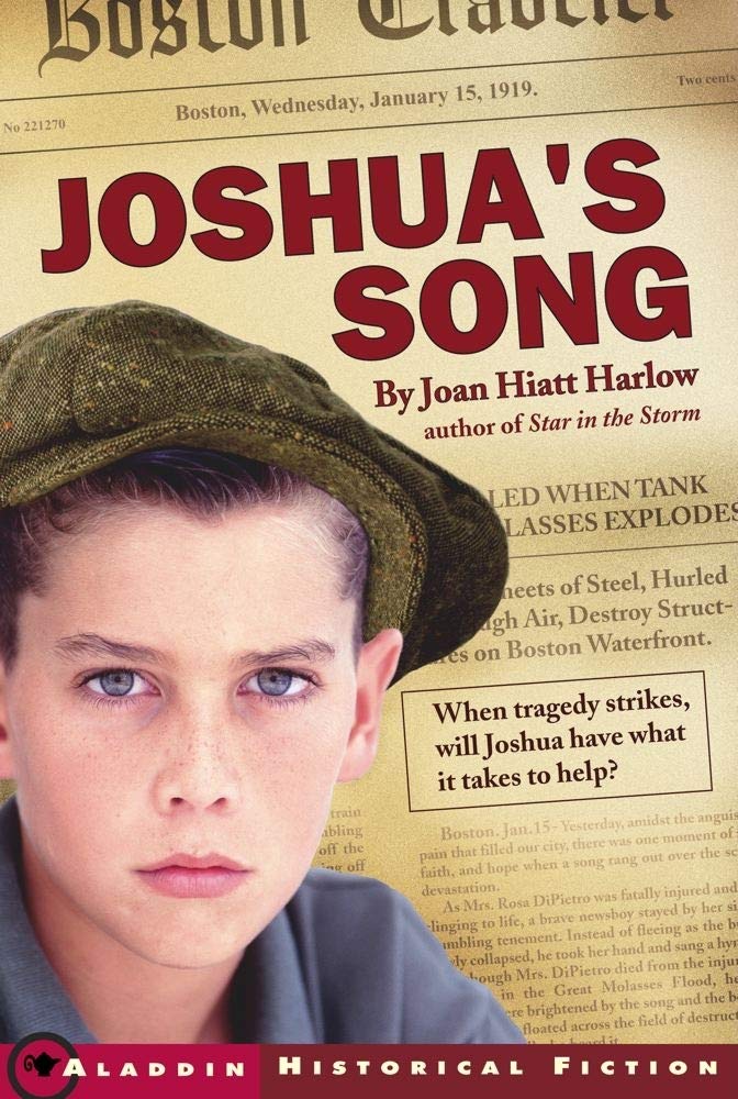 Algopix Similar Product 4 - Joshua's Song