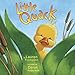 Algopix Similar Product 19 - Little Quack (Classic Board Books)