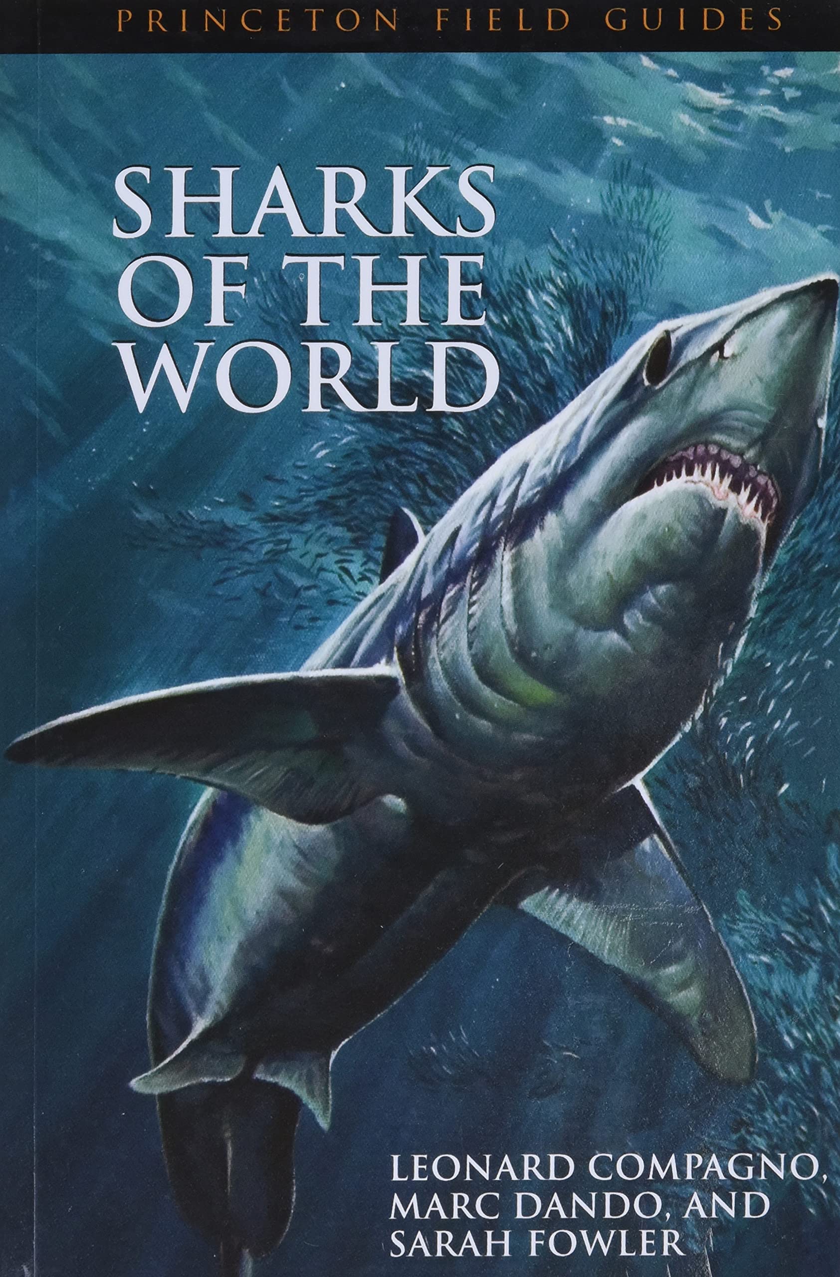 Algopix Similar Product 9 - Sharks of the World Princeton Field