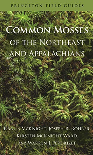 Algopix Similar Product 17 - Common Mosses of the Northeast and