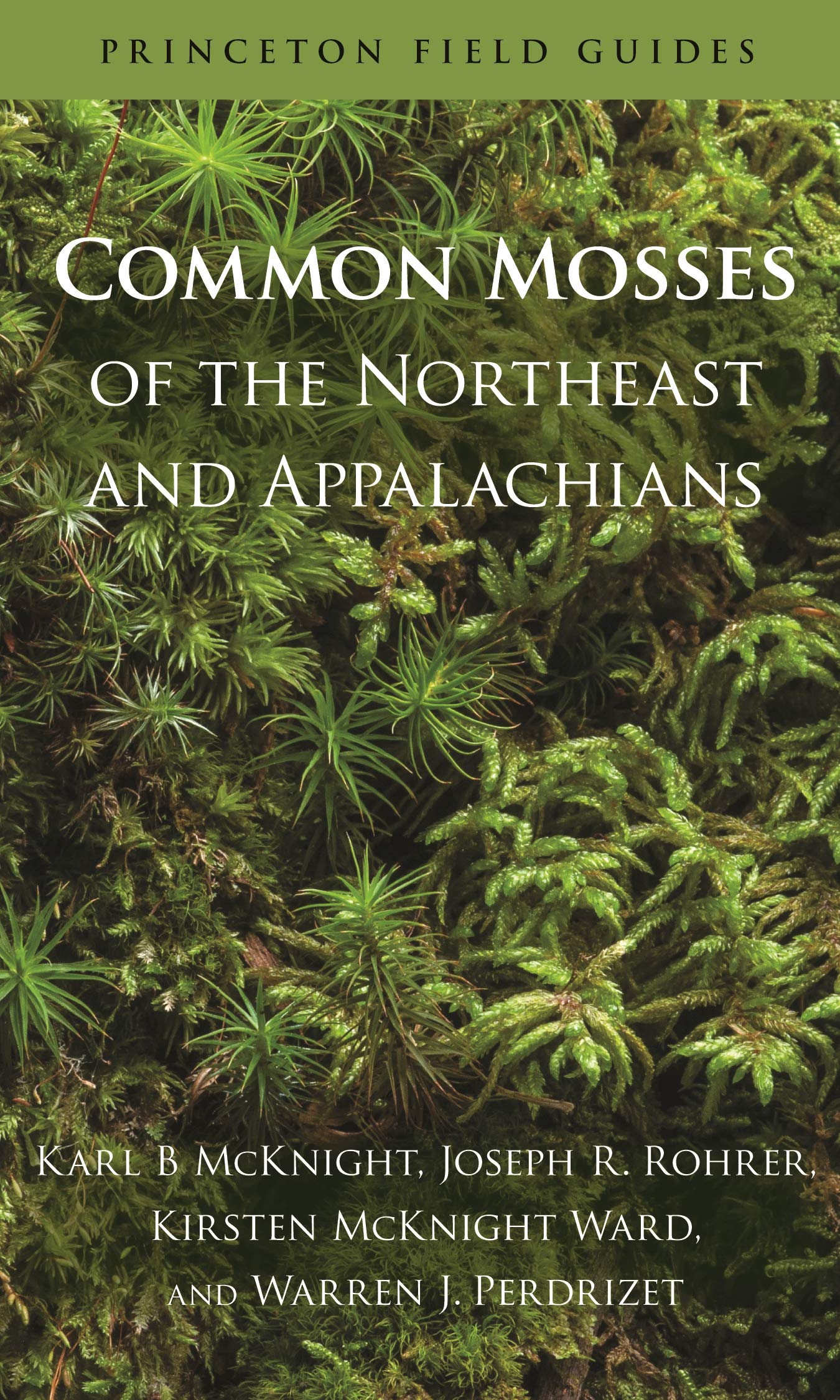 Algopix Similar Product 4 - Common Mosses of the Northeast and