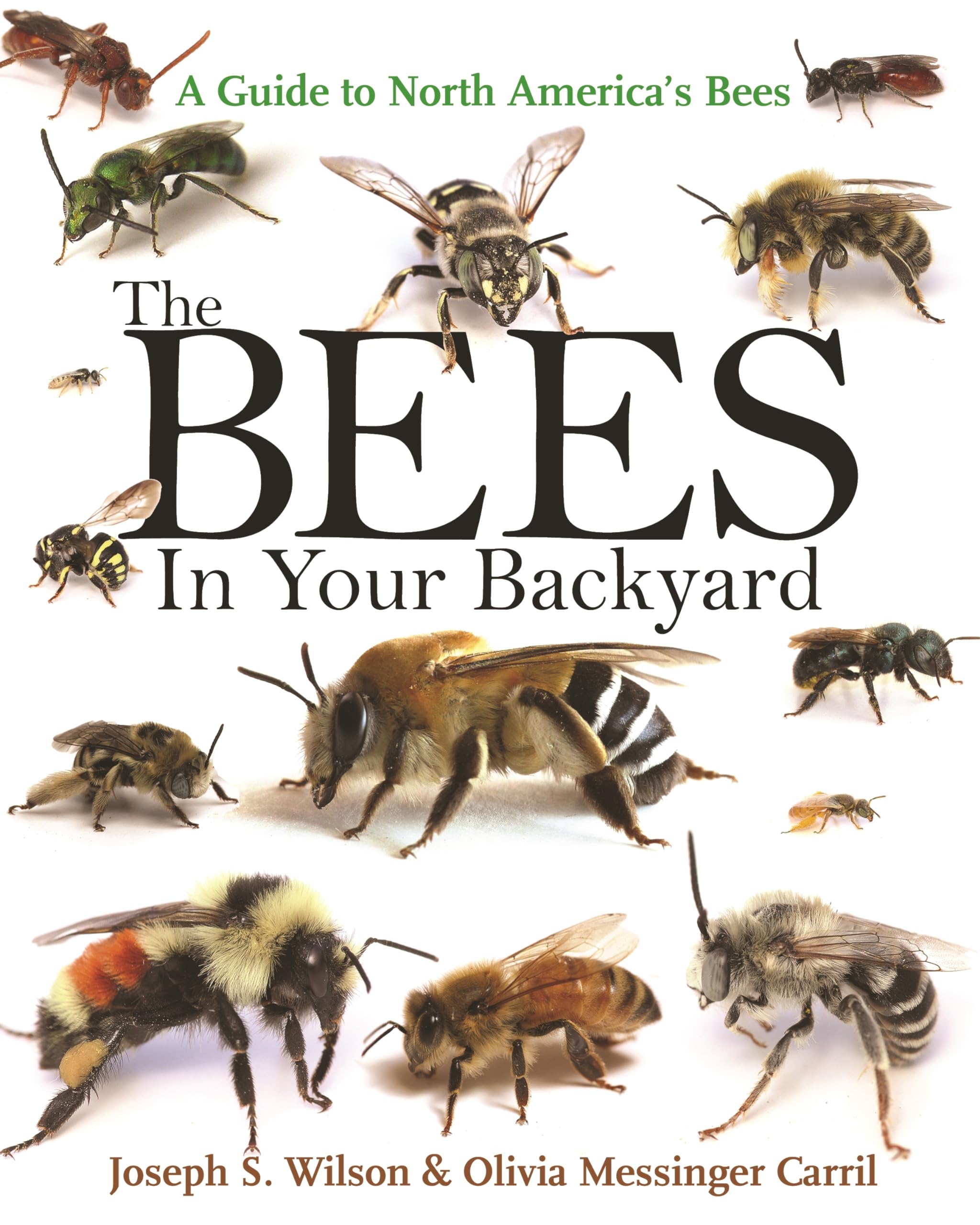Algopix Similar Product 12 - The Bees in Your Backyard A Guide to