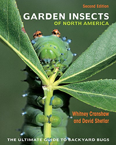 Algopix Similar Product 15 - Garden Insects of North America The