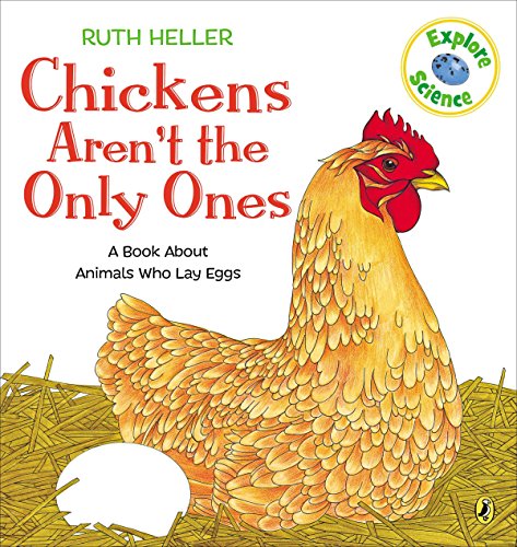 Algopix Similar Product 7 - Chickens Arent the Only Ones World of