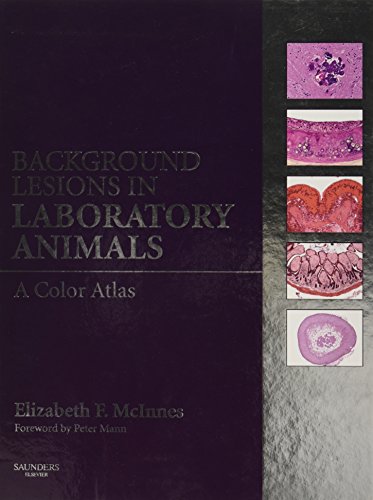 Algopix Similar Product 15 - Background Lesions in Laboratory