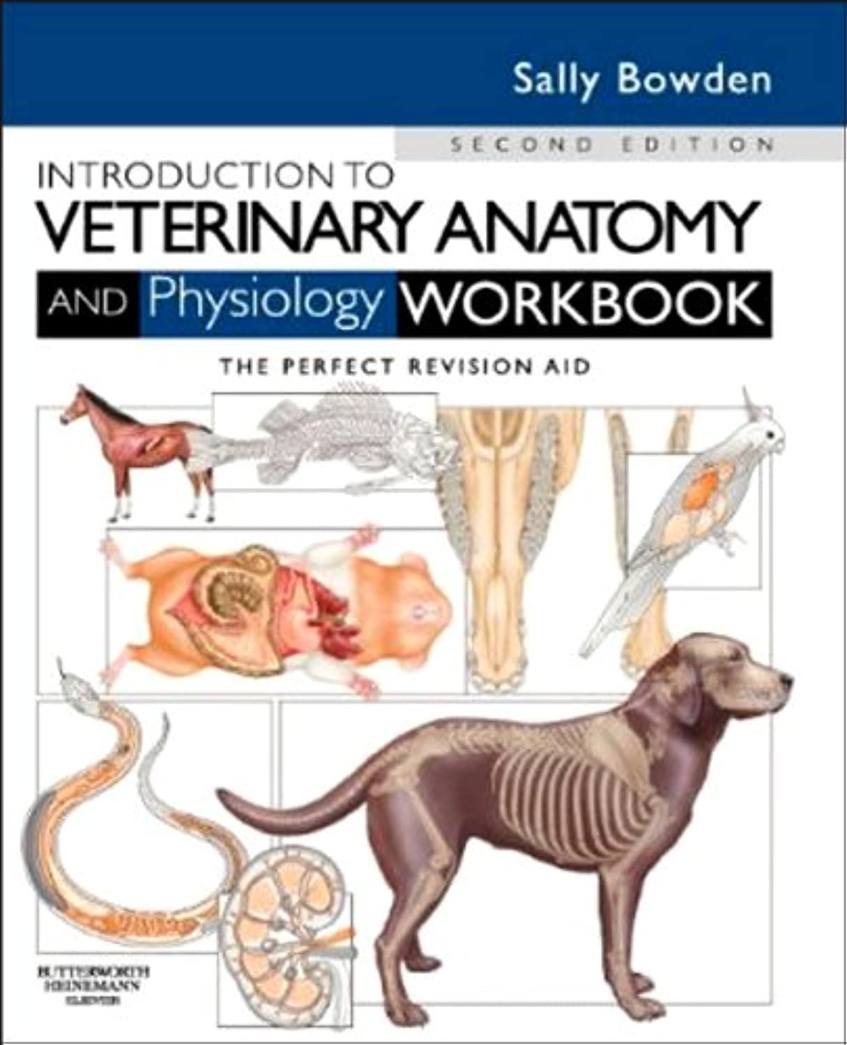 Algopix Similar Product 11 - Introduction to Veterinary Anatomy and