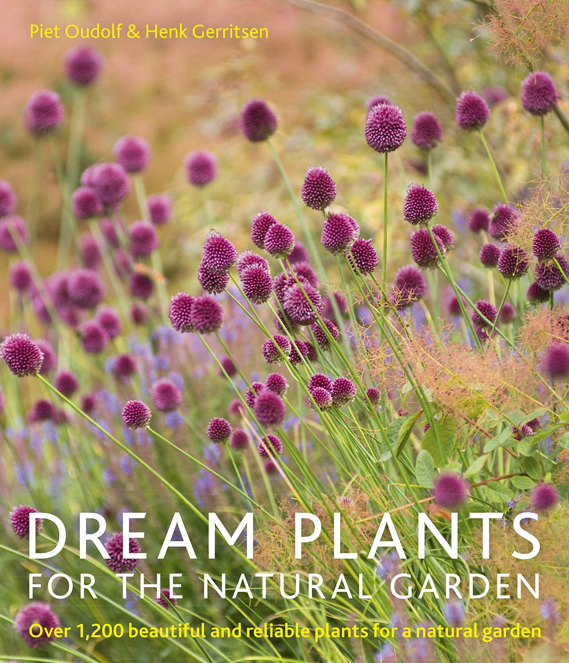 Algopix Similar Product 18 - Dream Plants for the Natural Garden