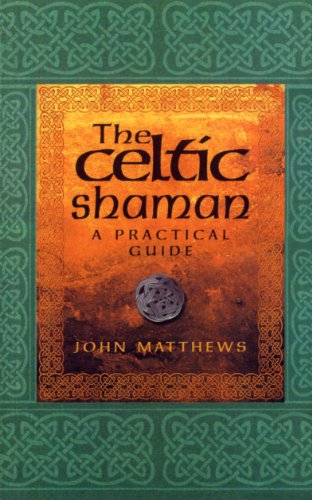 Algopix Similar Product 15 - The Celtic Shaman (Practical Guide)