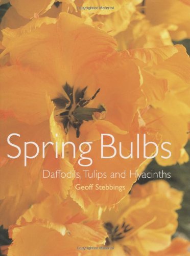 Algopix Similar Product 13 - Spring Bulbs Daffodils Tulips and