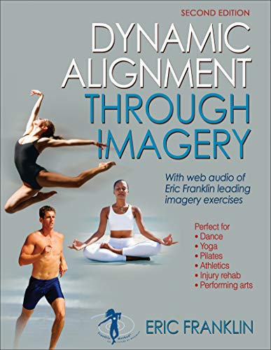 Algopix Similar Product 11 - Dynamic Alignment Through Imagery
