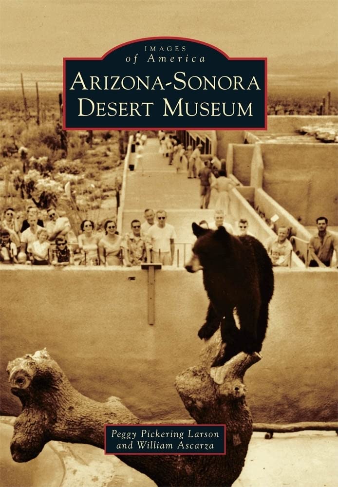 Algopix Similar Product 9 - ArizonaSonora Desert Museum Images of