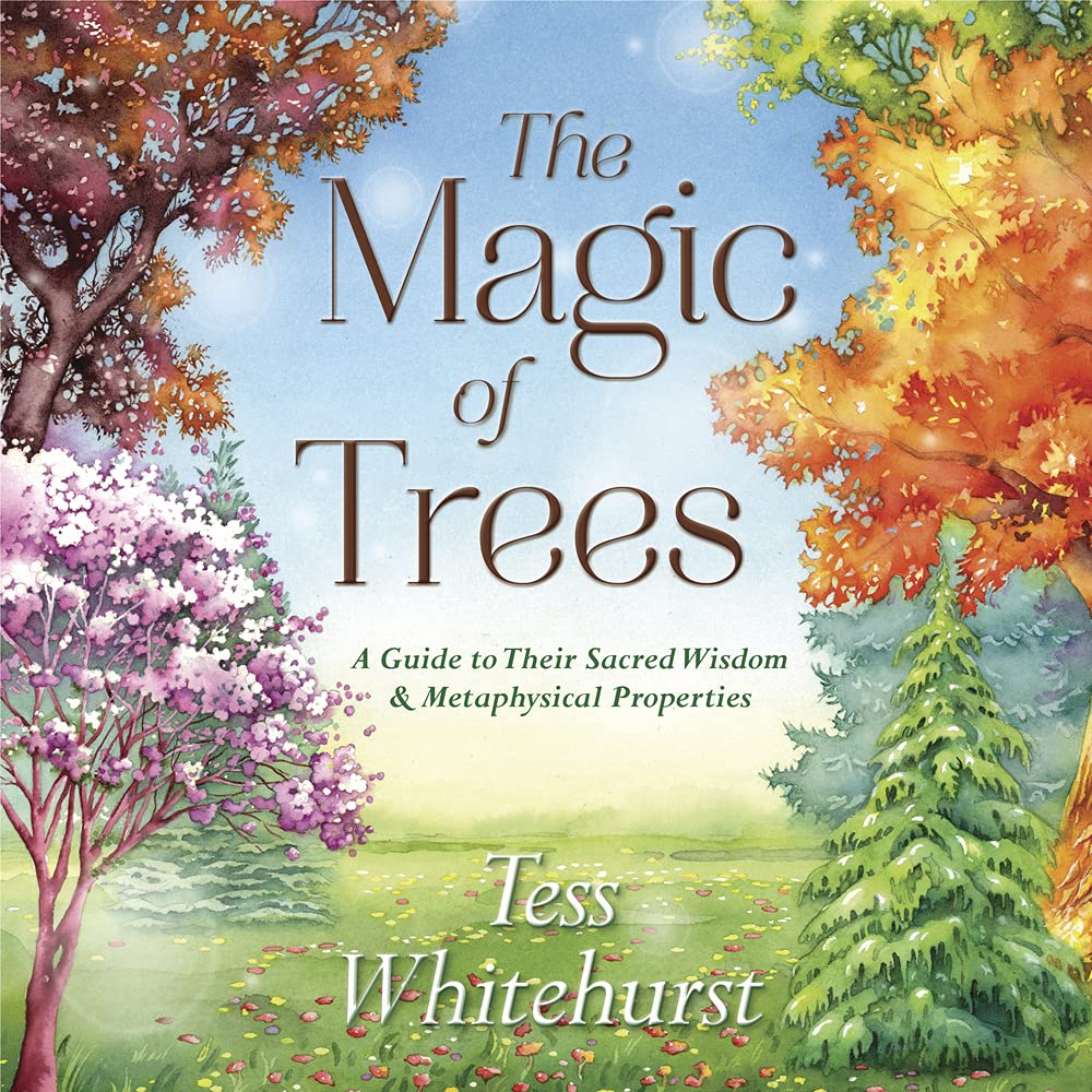 Algopix Similar Product 6 - The Magic of Trees A Guide to Their