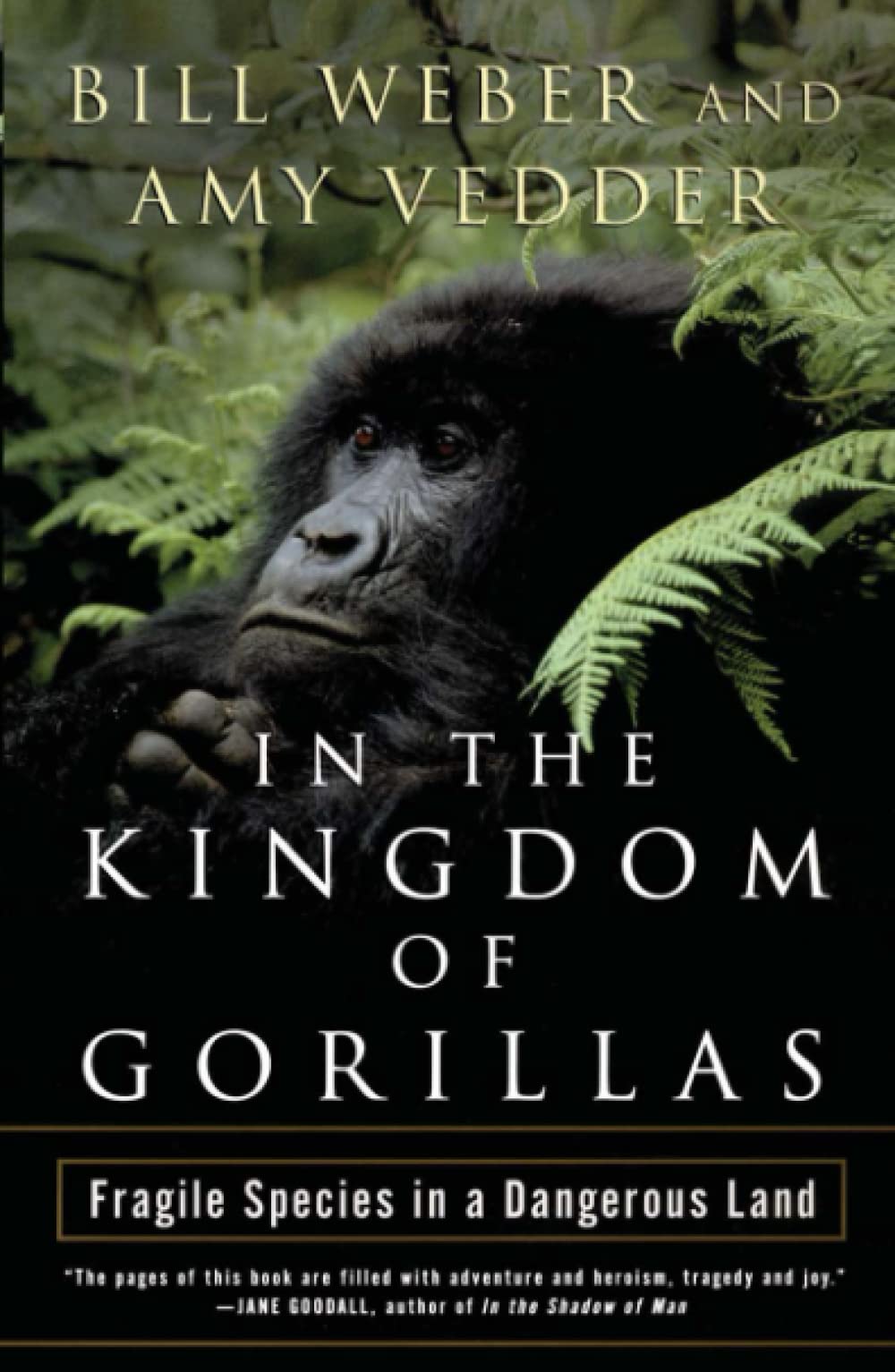 Algopix Similar Product 1 - In the Kingdom of Gorillas The Quest
