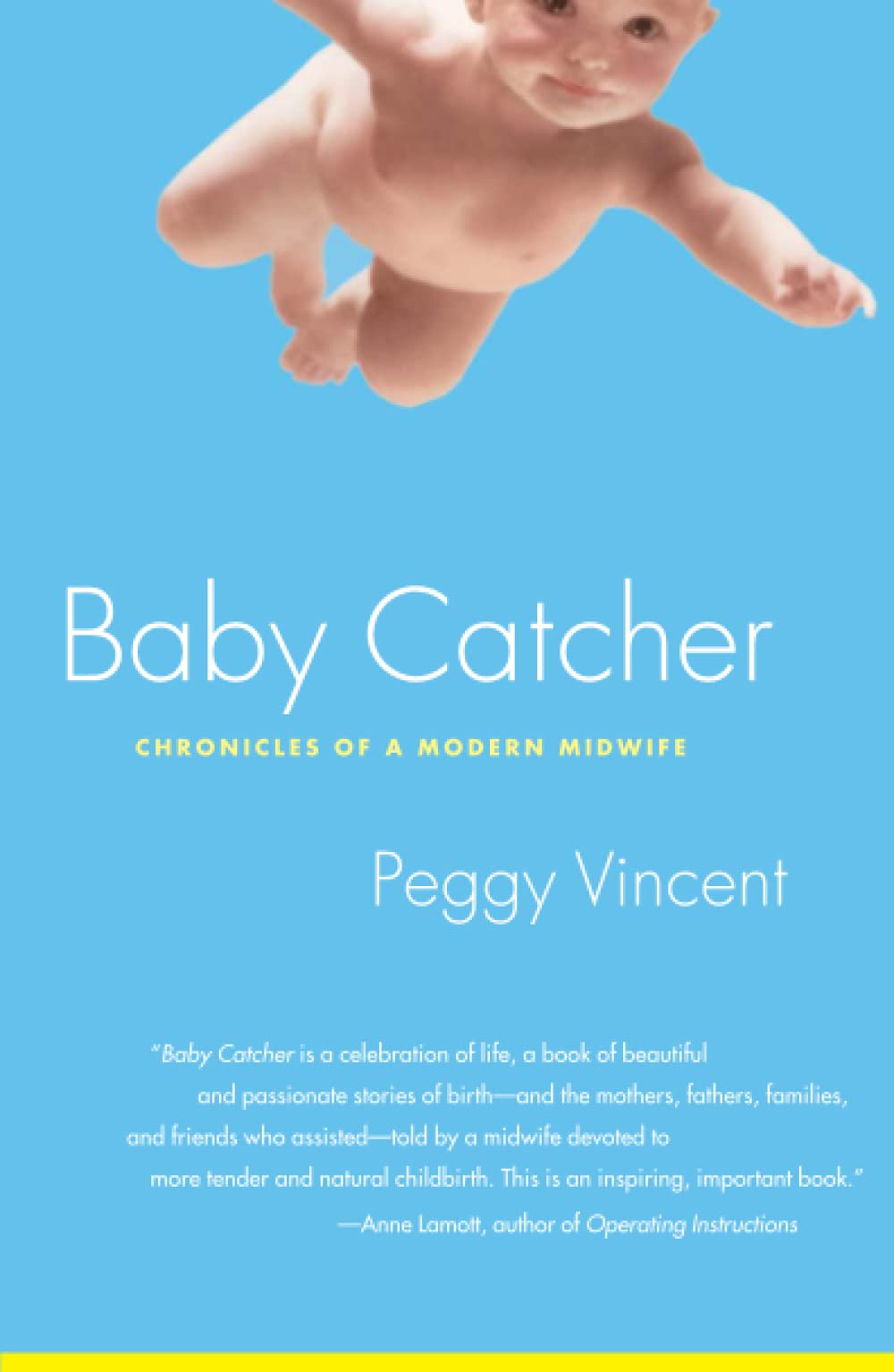 Algopix Similar Product 6 - Baby Catcher Chronicles of a Modern