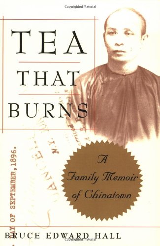 Algopix Similar Product 6 - Tea That Burns A Family Memoir of