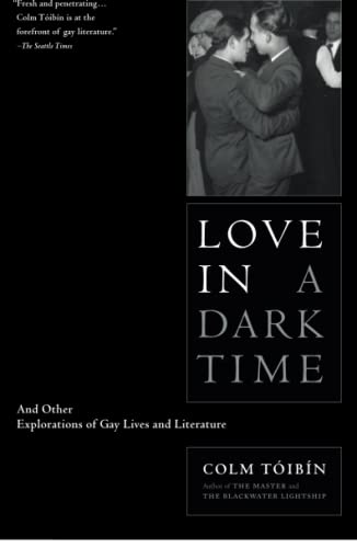 Algopix Similar Product 9 - Love in a Dark Time And Other