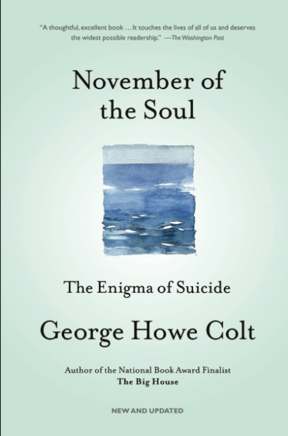 Algopix Similar Product 1 - November of the Soul The Enigma of