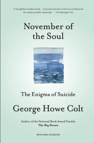 Algopix Similar Product 11 - November of the Soul The Enigma of