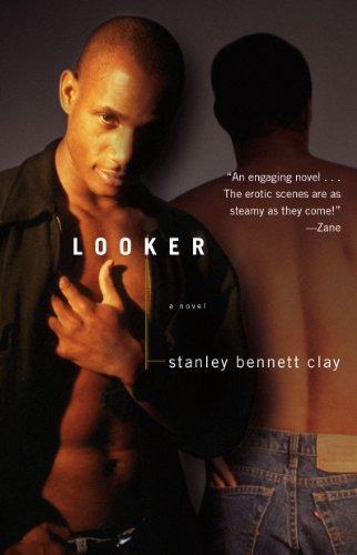 Algopix Similar Product 11 - Looker: A Novel