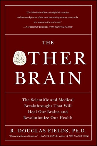 Algopix Similar Product 9 - The Other Brain The Scientific and