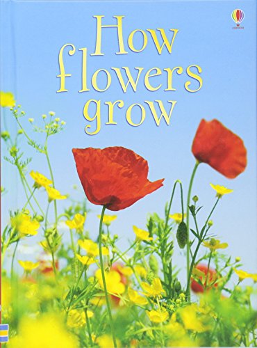 Algopix Similar Product 12 - How Flowers Grow Usborne Beginners