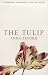 Algopix Similar Product 1 - The Tulip