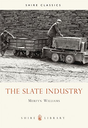 Algopix Similar Product 2 - The Slate Industry (Shire Library)