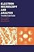 Algopix Similar Product 2 - Electron Microscopy and Analysis