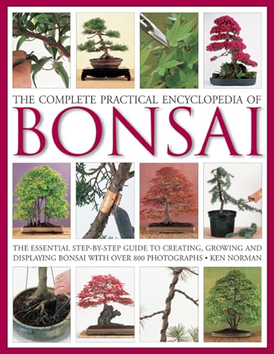 Algopix Similar Product 3 - The Complete Practical Encyclopedia of