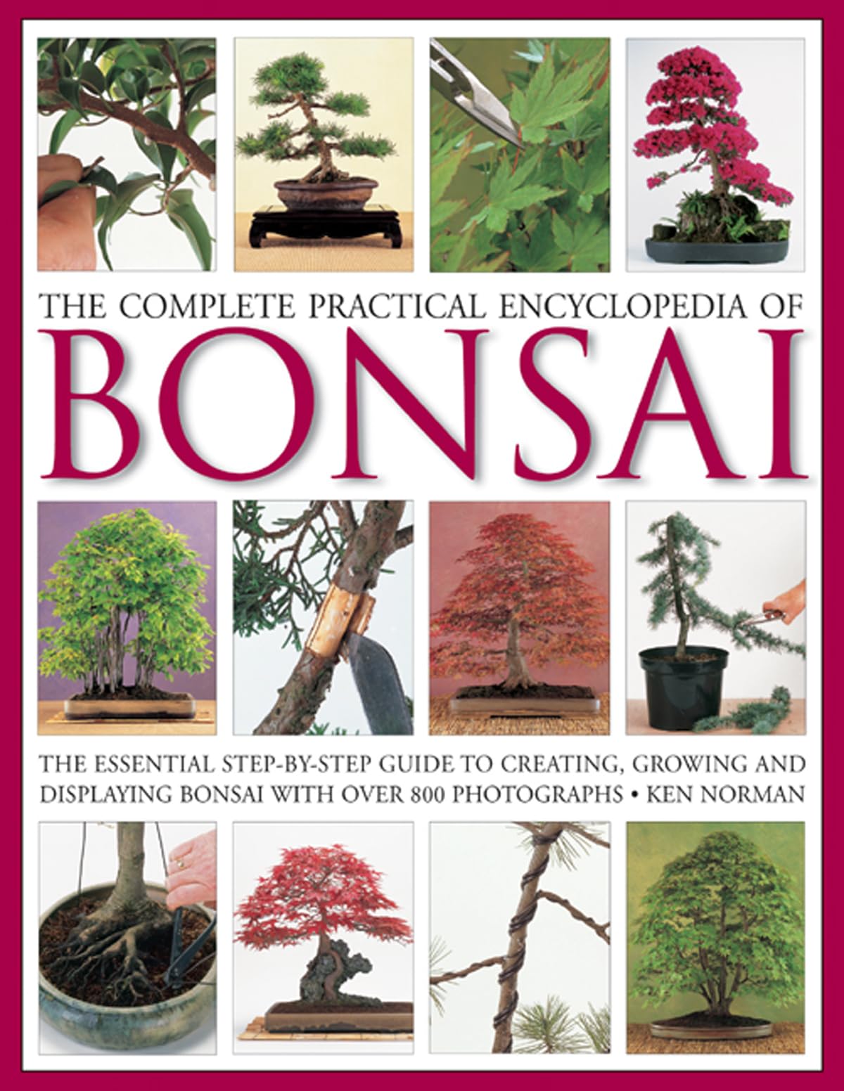 Algopix Similar Product 12 - The Complete Practical Encyclopedia of