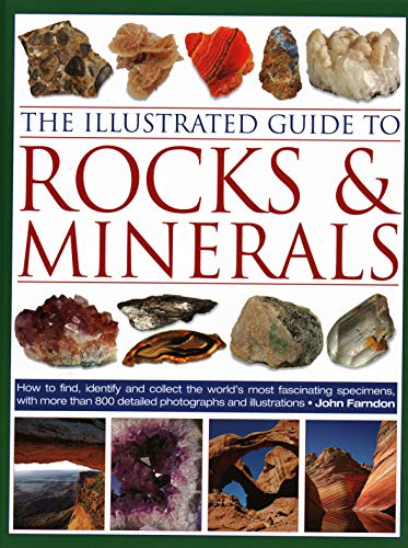 Algopix Similar Product 12 - The Illustrated Guide to Rocks