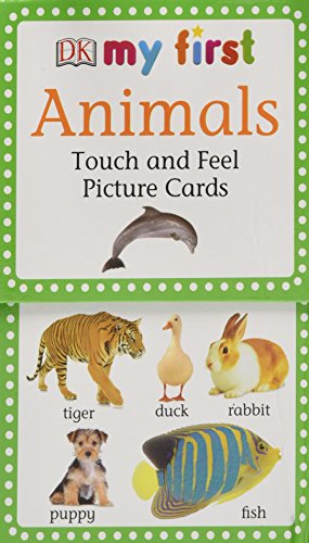 Algopix Similar Product 14 - My First Touch  Feel Picture Cards