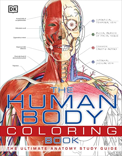 Algopix Similar Product 6 - The Human Body Coloring Book The