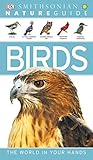 Algopix Similar Product 16 - Nature Guide: Birds (Nature Guides)