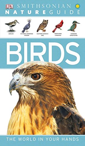 Algopix Similar Product 15 - Nature Guide: Birds (Nature Guides)