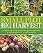 Algopix Similar Product 20 - Small Plot Big Harvest A StepbyStep
