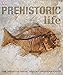Algopix Similar Product 2 - Prehistoric Life The Definitive Visual