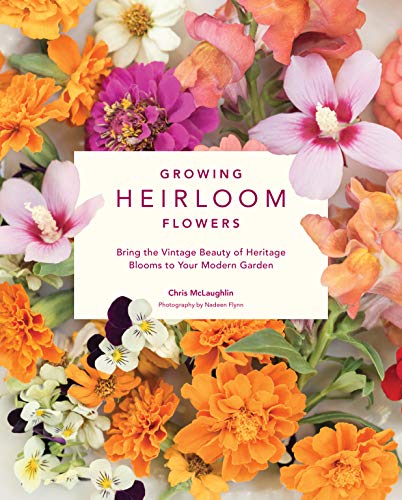 Algopix Similar Product 3 - Growing Heirloom Flowers Bring the