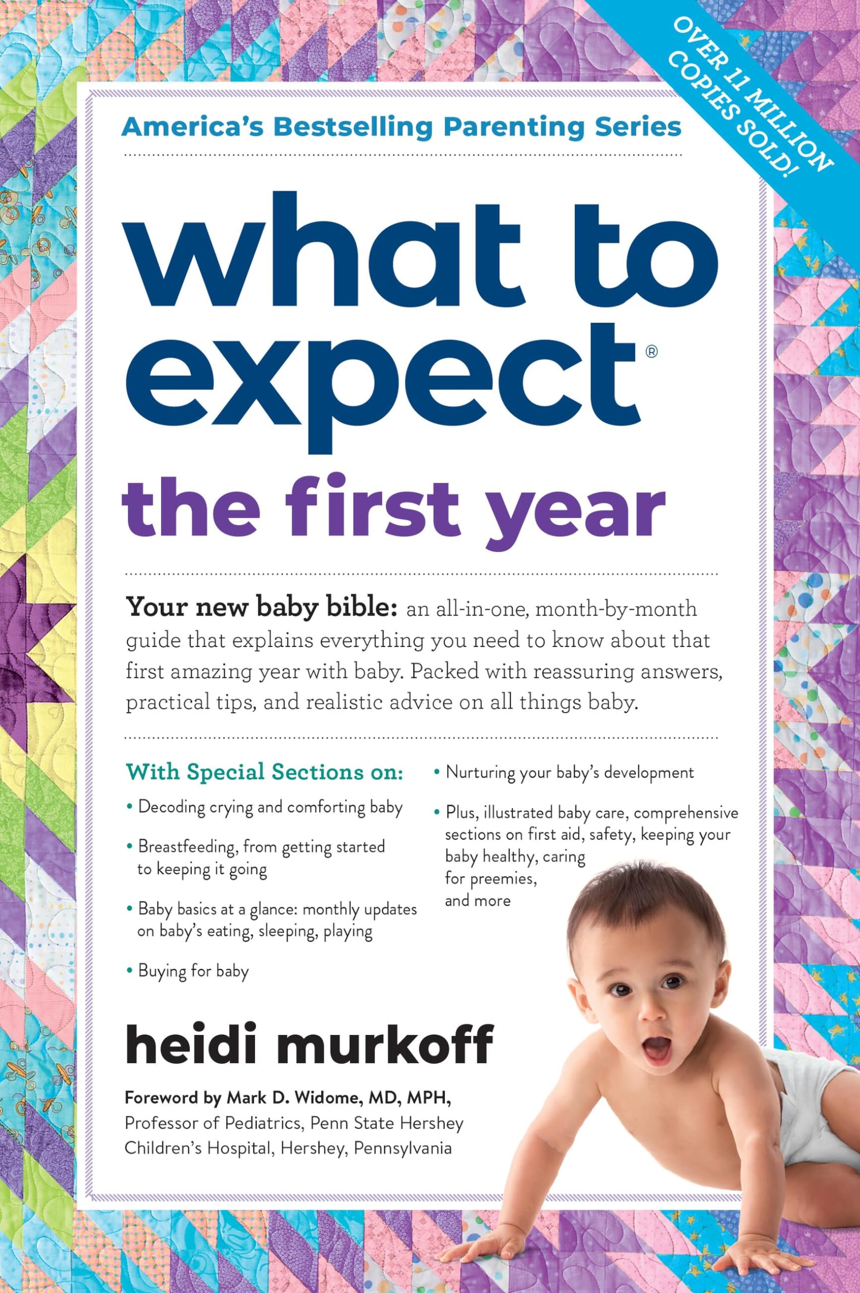 Algopix Similar Product 16 - What to Expect the First Year Updated
