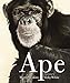 Algopix Similar Product 8 - Ape