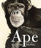 Algopix Similar Product 19 - Ape
