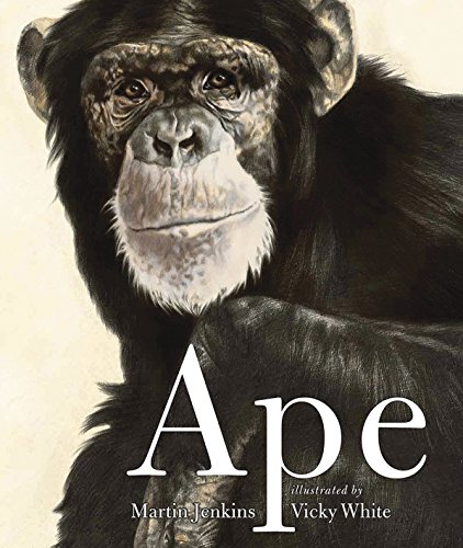 Algopix Similar Product 19 - Ape