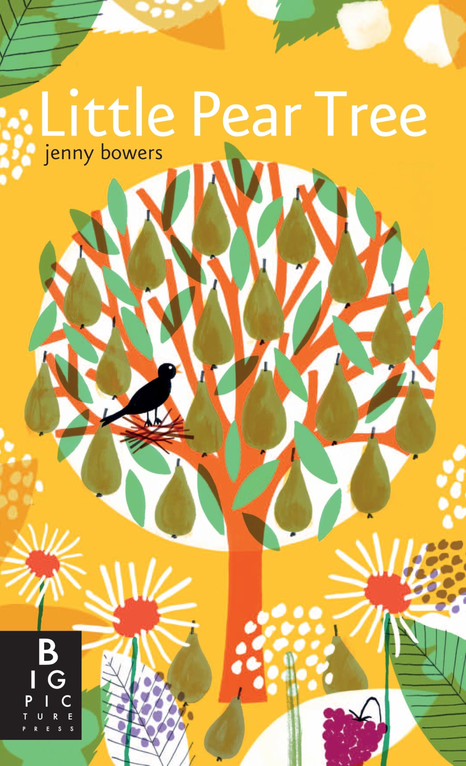 Algopix Similar Product 5 - Little Pear Tree