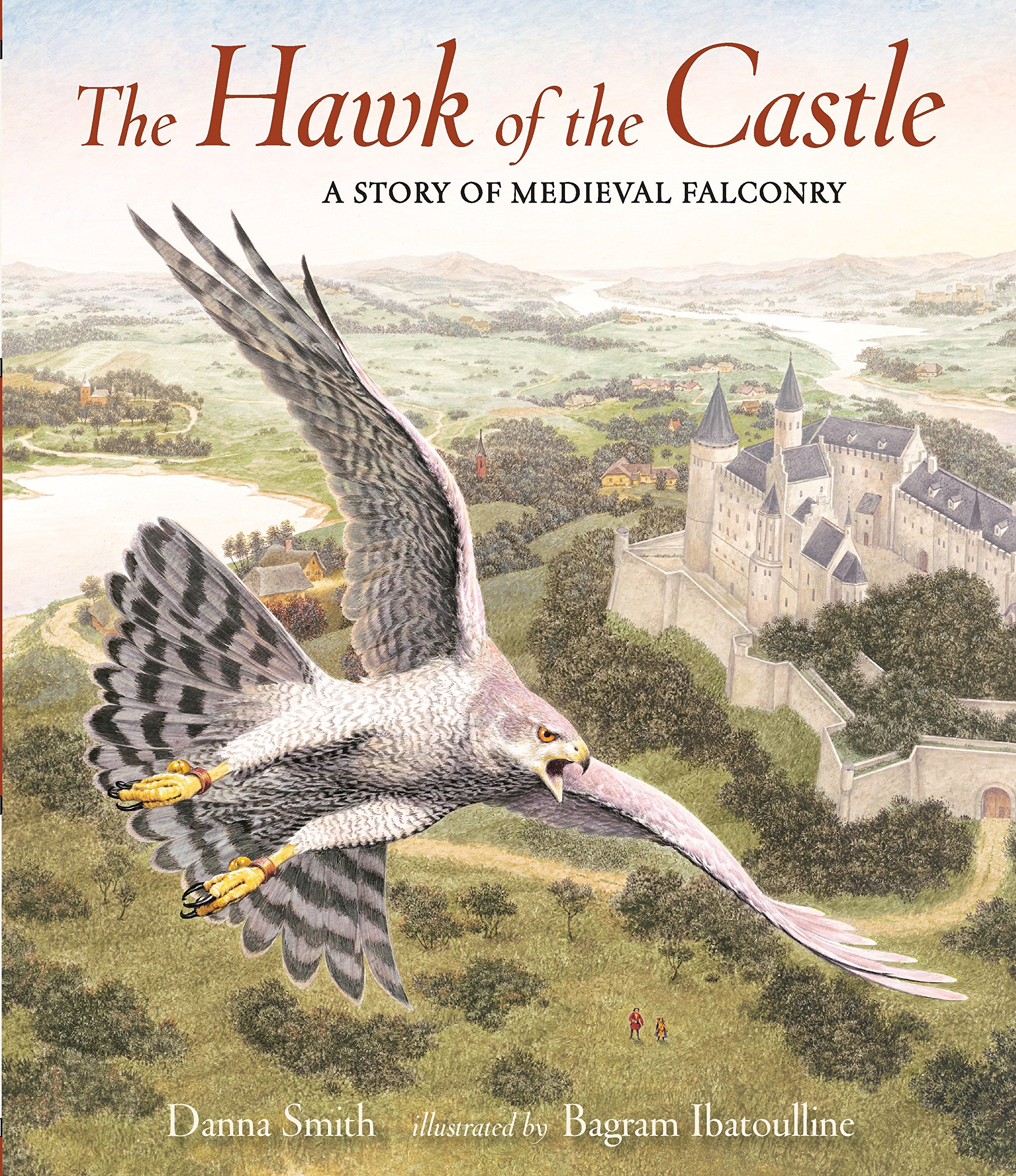 Algopix Similar Product 1 - The Hawk of the Castle A Story of