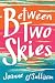 Algopix Similar Product 5 - Between Two Skies