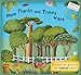Algopix Similar Product 16 - How Plants and Trees Work A HandsOn