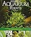 Algopix Similar Product 10 - Encyclopedia of Aquarium Plants